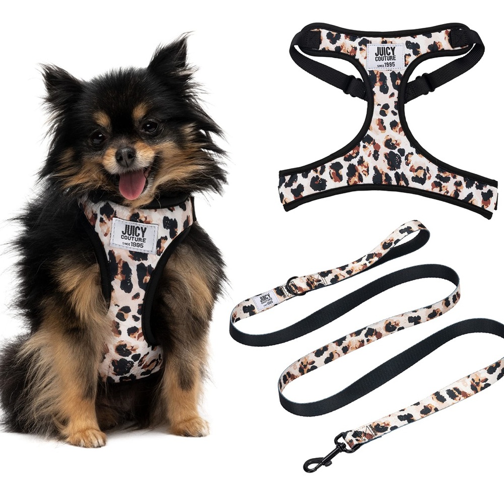 🆕 juicy couture harness/leash